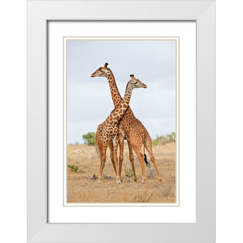 Necks White Modern Wood Framed Art Print with Double Matting by Pozzi, Marco