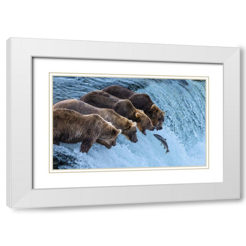 No Chance For Salmon Run White Modern Wood Framed Art Print with Double Matting by Pingwei Pan, Joy