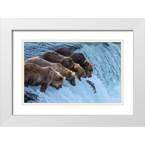 No Chance For Salmon Run White Modern Wood Framed Art Print with Double Matting by Pingwei Pan, Joy