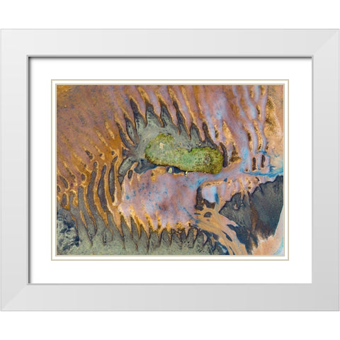 Dragon White Modern Wood Framed Art Print with Double Matting by Kravanja, Jure