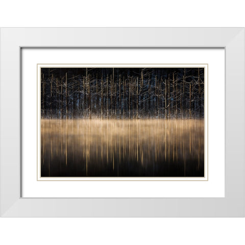 Cuejdel Lake White Modern Wood Framed Art Print with Double Matting by Mirica, Dan