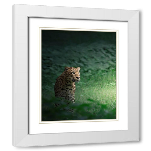 The Loner White Modern Wood Framed Art Print with Double Matting by Rawat, Chaitanya