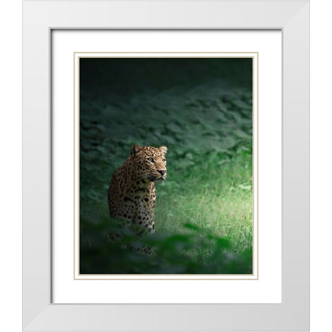 The Loner White Modern Wood Framed Art Print with Double Matting by Rawat, Chaitanya