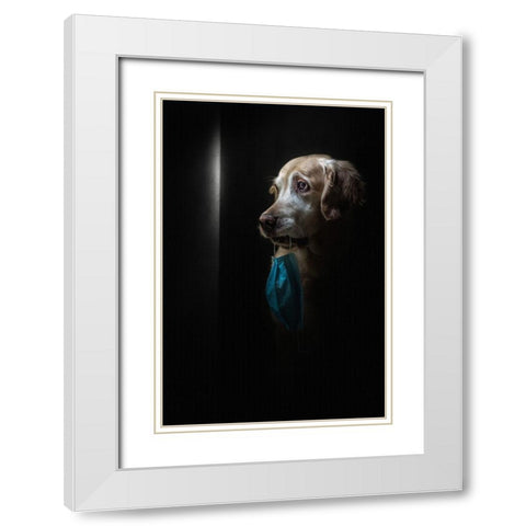 Stay Safe White Modern Wood Framed Art Print with Double Matting by Fidanza, Toni