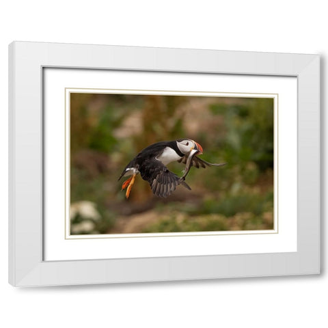 Return From Fishing White Modern Wood Framed Art Print with Double Matting by Xu, Tony