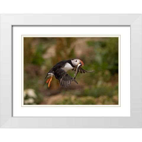 Return From Fishing White Modern Wood Framed Art Print with Double Matting by Xu, Tony