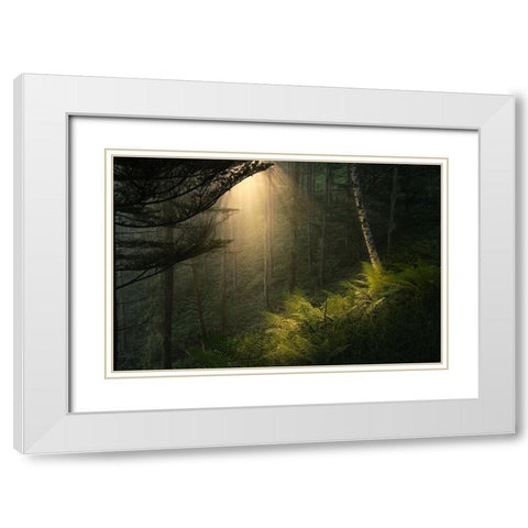 Spotlight. White Modern Wood Framed Art Print with Double Matting by Sugita, Masaki