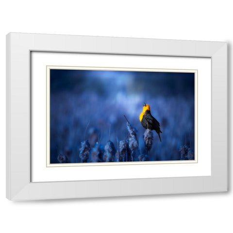 Sing A Song White Modern Wood Framed Art Print with Double Matting by Zhao, Alex