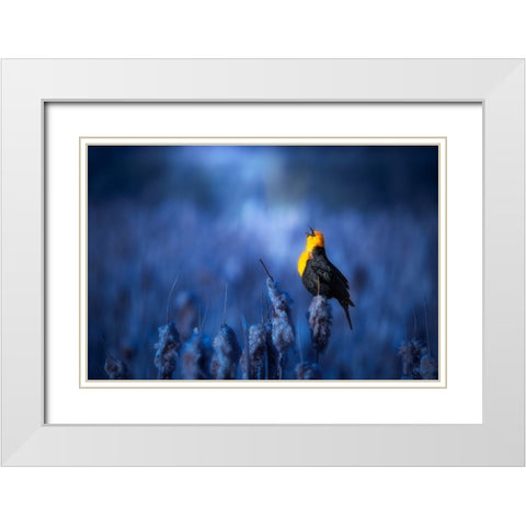 Sing A Song White Modern Wood Framed Art Print with Double Matting by Zhao, Alex
