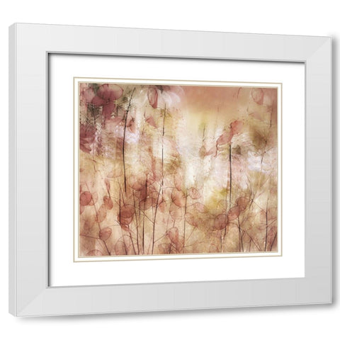 Seed Pods White Modern Wood Framed Art Print with Double Matting by Talen, Nel