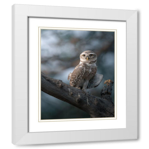 The Wise Of The Jungle White Modern Wood Framed Art Print with Double Matting by Rawat, Chaitanya