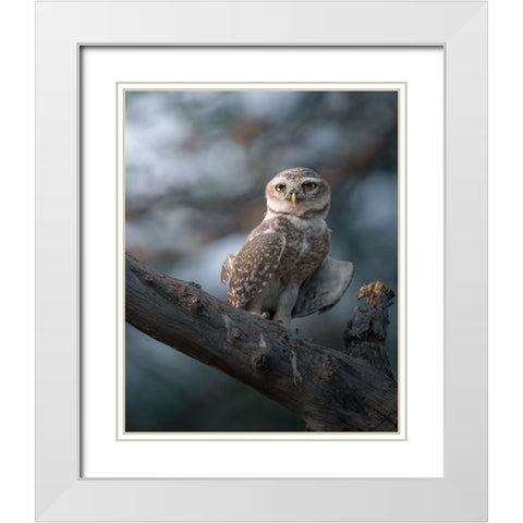 The Wise Of The Jungle White Modern Wood Framed Art Print with Double Matting by Rawat, Chaitanya