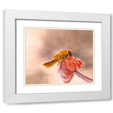 Hamburger For The Meal... White Modern Wood Framed Art Print with Double Matting by Dufour, Thierry