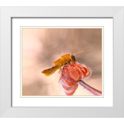 Hamburger For The Meal... White Modern Wood Framed Art Print with Double Matting by Dufour, Thierry