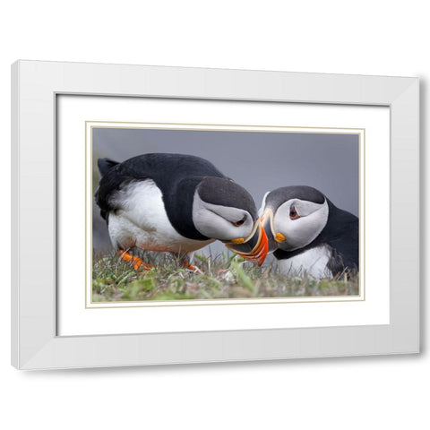 Whisper White Modern Wood Framed Art Print with Double Matting by Fu, Molly