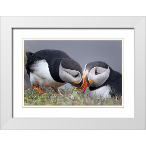 Whisper White Modern Wood Framed Art Print with Double Matting by Fu, Molly