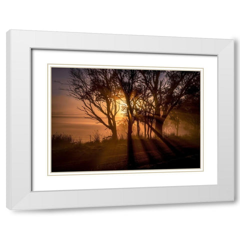 Sunrise Over Morning Mist White Modern Wood Framed Art Print with Double Matting by Ma, Frank