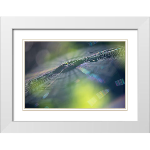 Colorful Dream White Modern Wood Framed Art Print with Double Matting by Deng, Ivy