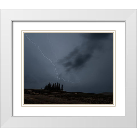 Cipressini Fulminati White Modern Wood Framed Art Print with Double Matting by Domenichi, Luca