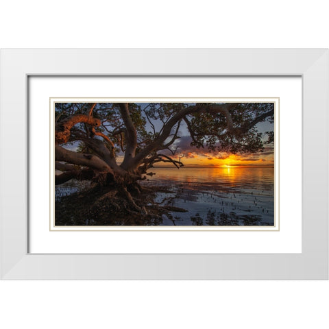 Sunrise At Nudgee Beach White Modern Wood Framed Art Print with Double Matting by Papamanolis, Emanuel
