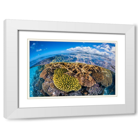 At Low Tide White Modern Wood Framed Art Print with Double Matting by Gabriel, Barathieu