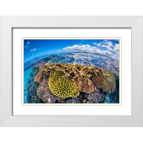 At Low Tide White Modern Wood Framed Art Print with Double Matting by Gabriel, Barathieu