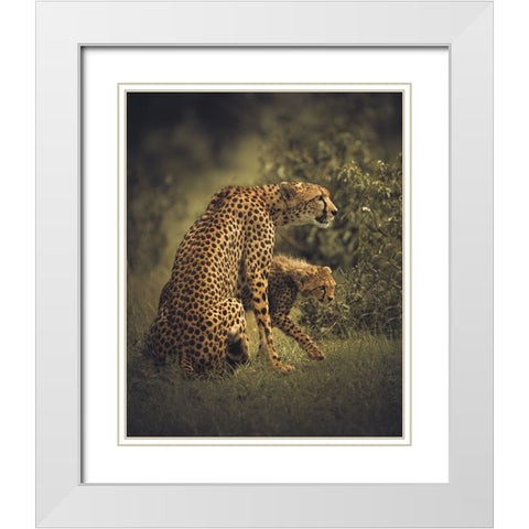 Backbone White Modern Wood Framed Art Print with Double Matting by Sobhi, Ahmed