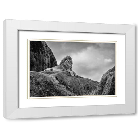 The King! White Modern Wood Framed Art Print with Double Matting by Khataw, Ali