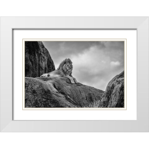 The King! White Modern Wood Framed Art Print with Double Matting by Khataw, Ali