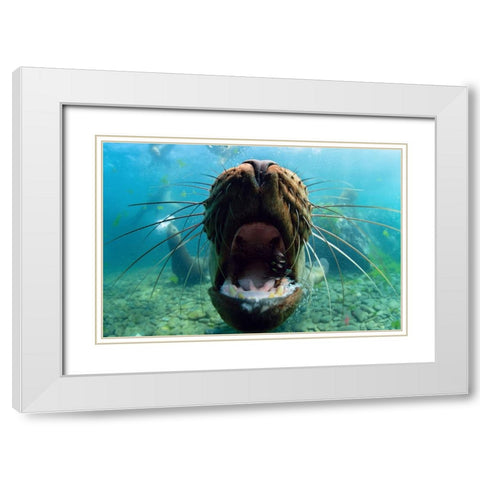 Just Kiss White Modern Wood Framed Art Print with Double Matting by Narchuk, Andrey