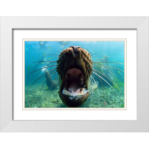 Just Kiss White Modern Wood Framed Art Print with Double Matting by Narchuk, Andrey