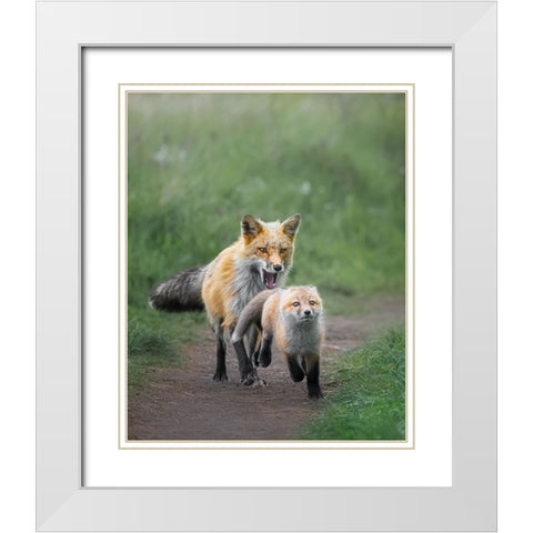 AÂ€ÂœSlow Down-My Baby!AÂ€Â White Modern Wood Framed Art Print with Double Matting by Zhang, Joan