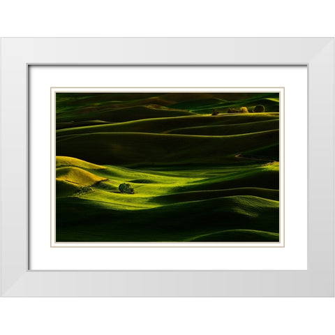 Palouse Wheat Fields White Modern Wood Framed Art Print with Double Matting by Dickau, Kristel