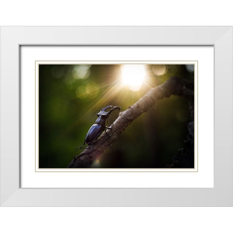 Way To The Sun White Modern Wood Framed Art Print with Double Matting by Bykanova, Victoria