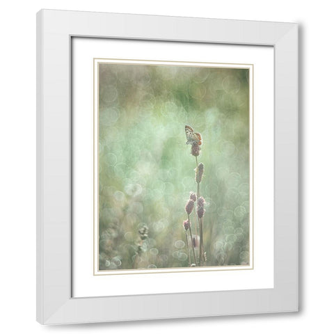 Bubbleliscious White Modern Wood Framed Art Print with Double Matting by Van Helden, Elisabeth