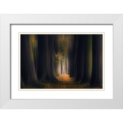 Infinity White Modern Wood Framed Art Print with Double Matting by Van Der, Jan