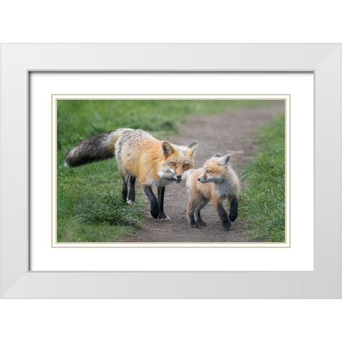 AÂ€ÂœI Catch You!AÂ€Â White Modern Wood Framed Art Print with Double Matting by Zhang, Joan