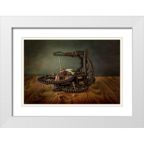 Going To Seed White Modern Wood Framed Art Print with Double Matting by Berberich, Matthew