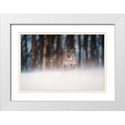 Amidst Snowstorm White Modern Wood Framed Art Print with Double Matting by Furch, Lukas