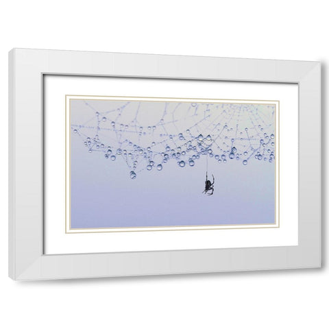 Trasparency White Modern Wood Framed Art Print with Double Matting by Pizzocaro, Giorgio