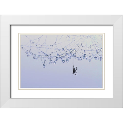 Trasparency White Modern Wood Framed Art Print with Double Matting by Pizzocaro, Giorgio