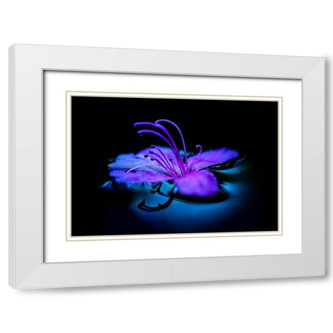 float White Modern Wood Framed Art Print with Double Matting by Kataoka, Shinichi