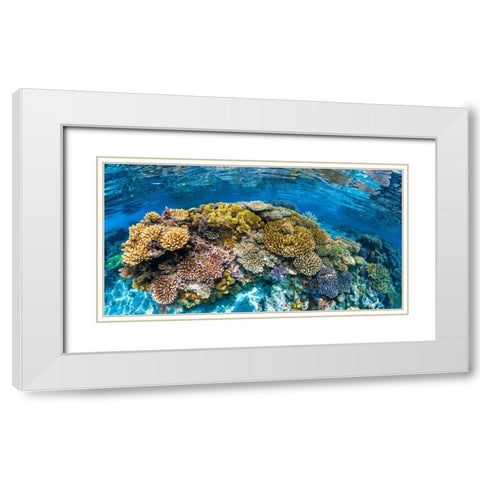 Panoreef White Modern Wood Framed Art Print with Double Matting by Gabriel, Barathieu