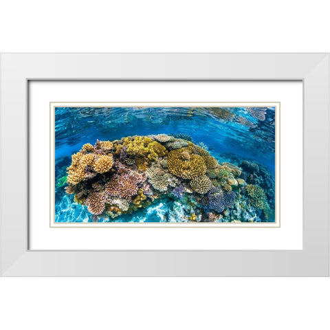 Panoreef White Modern Wood Framed Art Print with Double Matting by Gabriel, Barathieu