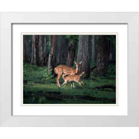 Sanctity Of Motherhood White Modern Wood Framed Art Print with Double Matting by Rawat, Chaitanya