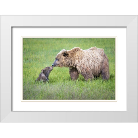 Not Seeing Eye To Eye.... White Modern Wood Framed Art Print with Double Matting by C. Sink, Jeffrey