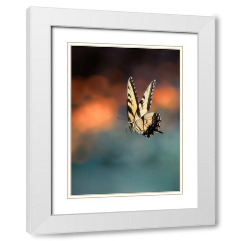 Flying Butterfly White Modern Wood Framed Art Print with Double Matting by Shen, Yanyu