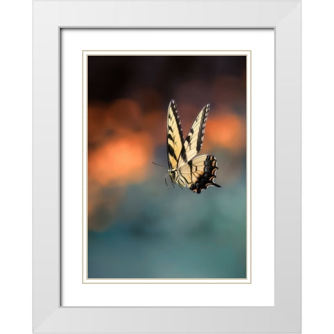 Flying Butterfly White Modern Wood Framed Art Print with Double Matting by Shen, Yanyu