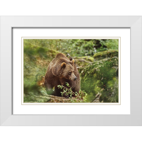 On A Trip... White Modern Wood Framed Art Print with Double Matting by Svestka, Jiri