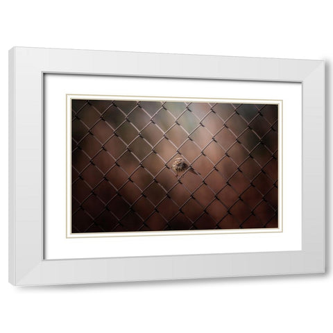 Besieged White Modern Wood Framed Art Print with Double Matting by Zhang, Ling